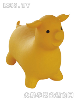 �����������i