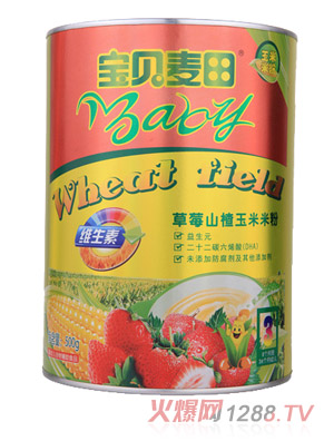 ��ؐ�����ݮɽ������׷�3�� �b