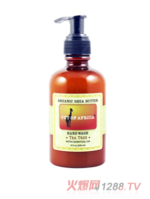 ��ľ��ϴ��Һ ��侫��