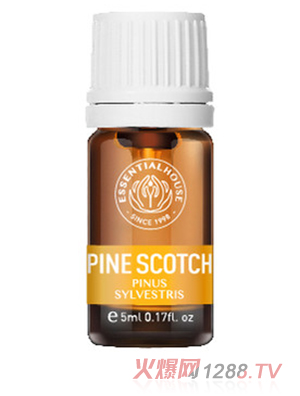 ��Ϫ���@ �W�޳��ɾ���