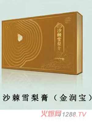 ������ɳ��ѩ���