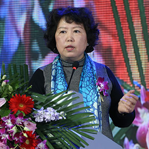 �������e��������